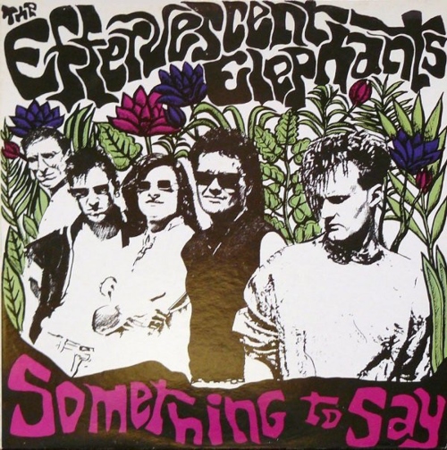 The Effervescent Elephants - Something To Say (Disco de Color)